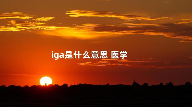 iga是什么意思 医学